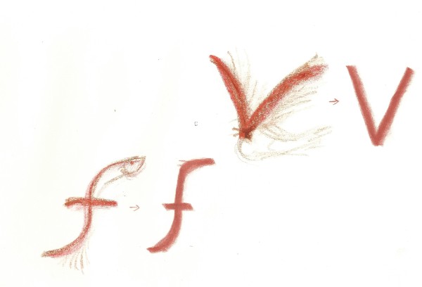 Einführung des Buchstabens F und V